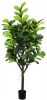 Merkloos Ficus Benjamina 210 Cm Kunstplant Buitengewoon De Boet online kopen