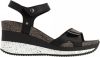 Panama Jack nica sport sandals , Zwart, Dames online kopen