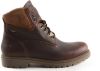 Panama Jack enkelboot faust igloo c20 castano/chestt , Bruin, Heren online kopen