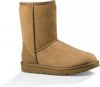 UGG Classic Short II Laarzen 1016223/BLK Zwart-41 maat 41 online kopen