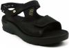 Wolky 0392715 sandals , Zwart, Dames online kopen