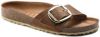 Birkenstock Madrid Big Buckle Oiled Leather Sandals , Bruin, Dames online kopen